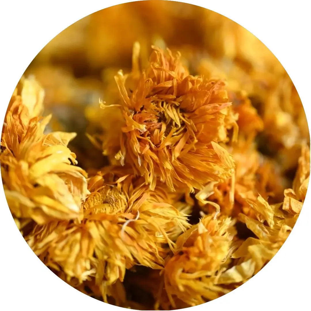 Calendula: The Golden Flower Revolutionizing American Skincare Rituals